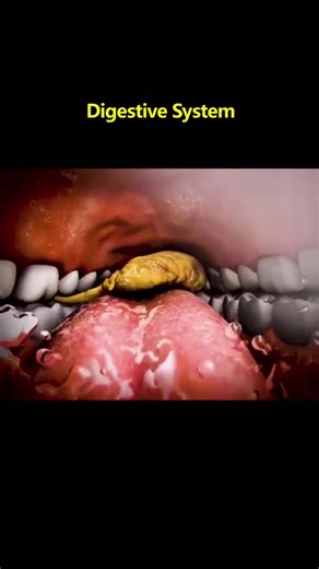 #foryou #surgery #digestive #system #intestines #stomach #mouth