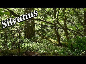 Silvanus - Roman Religion and Mythology