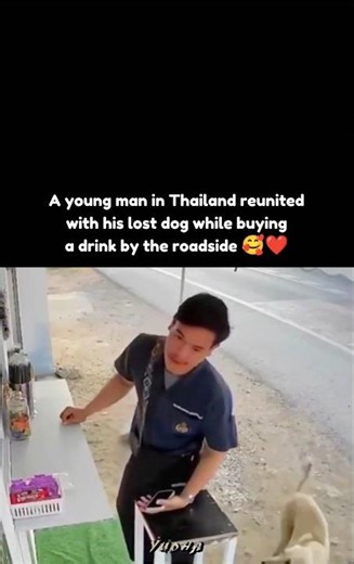A young man in Thailand reunited with his lost dog while buying a drink by the roadside 🥰❤️