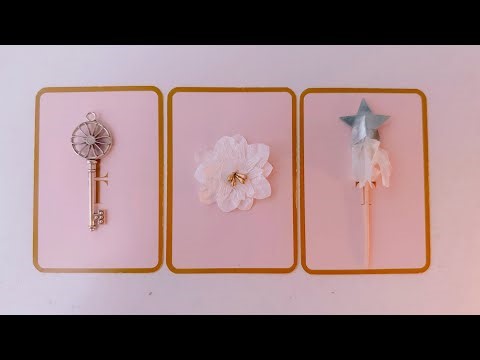 🪞THE NEXT 24 HOURS | PICK-A-CARD🪞