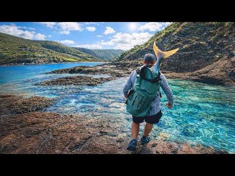 My Favorite Fishing Spot Ever (Giant Fish Catch & Cook)