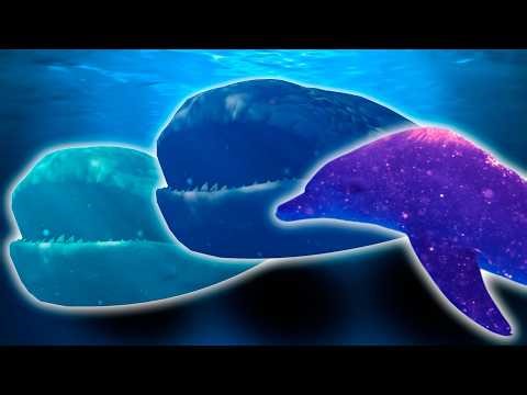 BLOOP & Dolphin - Toothless Dance Song (COVER)