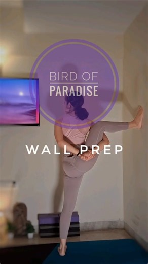 Bird of Paradise Prep 🦜 | Use the Wall for Balance