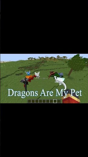 Dragon Mod|Minecraft|Mr.Adi Rock Gamer