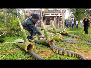 Clean up Abandoned House | DIY Snake Trap Technology. How To Make Big Python Snake Trap Work 100%