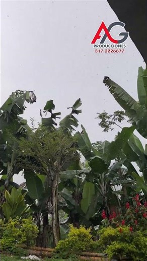 Lluvia en el campo: el aire más puro y el origen de lo que comemos