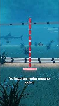 How deep Sea data transfer happens (3D) by professor of Hw