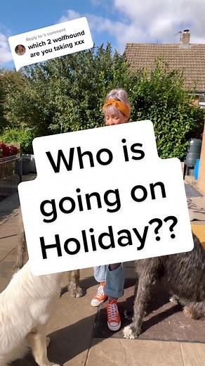 Replying to @ TWO DAYS TO GO!!! We are leaving 12 dogs at home and taking these 3 on a narrowboat holiday #irishwolfhound #whiteswissshepherd