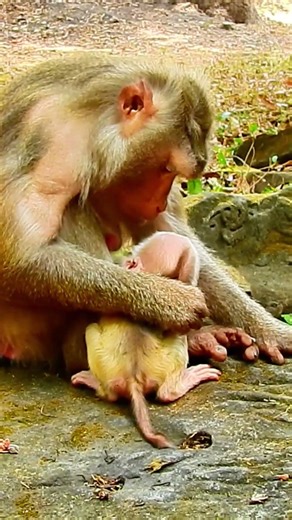 Relaxing Healing Stress, Anxiety and Depressive States, Heal Mind, Body and soul