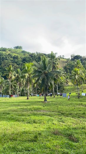 The view that never goes out of style💚🌴. #provinceview | Pobreng Explorer