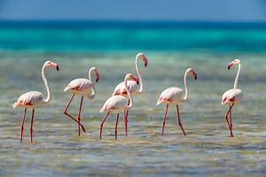 Becoming a part of nature, once again