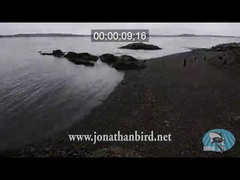 Time Lapse of Tides on Maine Coast