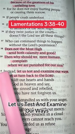 Let Us Turn Back To The Lord: Daily Bible Reflection