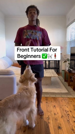 Here’s a little beginner tutorial to get you started on teaching a front command. This is not for people who are trying to be sport dog competitors. This is just for the people who want to teach your dog some fun positions~ #reels #asmr #foryou #fyp #animals #foryoupage #love | Apexdogtraining | Facebook