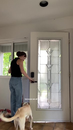 Adopt Milan - 11-Month-Old Beagle Mix | Lucky Dog Animal Rescue