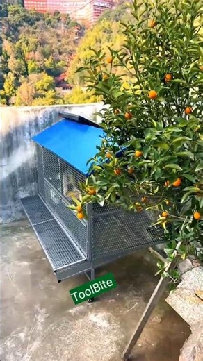 Beautiful Bird Cage Setup Near the Garden