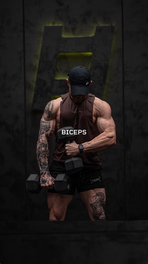 518K views · 34K reactions | Bicep Bangers  Your biceps are gonna...