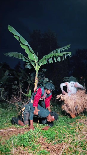 When a Night Party Goes Hilariously Wrong