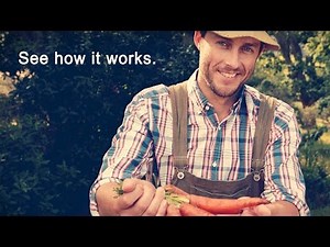 Real Plans - Real Food Meal Planning (Version 10)