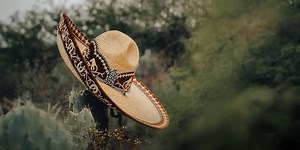 From Fantasy to Plasma: Redefining the Cosmos with Electric Universe Theory