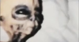 UFOs are real aliens have federal jobs Boyd Bushman