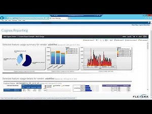 FlexNet Manager for Engineering Applications - Proactive Governance for Concurrent Licensing