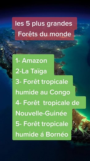 les 5 plus Grandes Forêts du monde.
