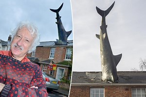 Airbnb with huge shark plunging into roof faces closure after official backlash: ‘Come while you can’