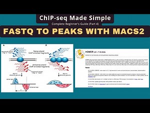 ChIP-seq Analysis: FASTQ To Peaks With MACS2