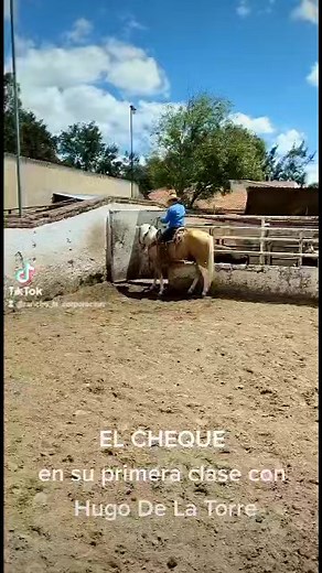EL CHEQUE en su primera clase para aprender a colear con Hugo De La Torre #coleadero #caballo #charreria #aqha #semental #cuartodemilla | Rancho La Corporación