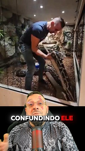 689K views · 6K reactions | Limpando viveiro da píton #animais #serpente #cobra #viveiro #terrário #python #pythonbivittatus #criaçãodecobras #cobradeestimação #petsnake | Biólogo Henrique o Biólogo das Cobras | Facebook
