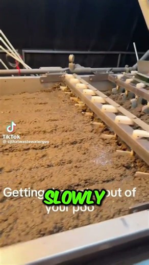 The Most Disgusting Job You Have Ever Seen 😳