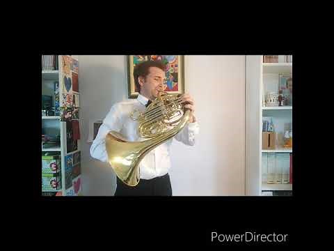 Instrument de musique : le cor