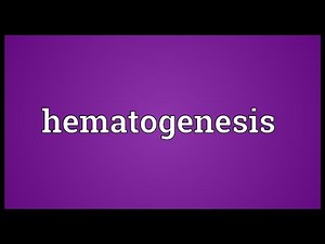 Hematogenesis Meaning