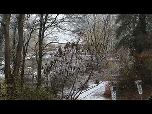 Canon EOS 850d Schnee 4K Video Test