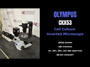 Olympus CKX53 Cell Culture Inverted Microscope (Item - 4744W SCOPE)