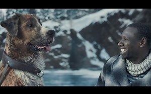 看看聪明机智的雪橇犬如何使主人逃离一场雪崩
