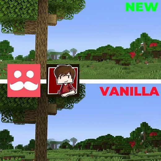 Every Minecraft YouTuber does this….