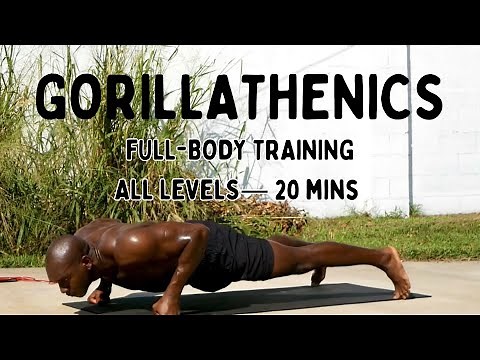 20 Mins Gorilla-Inspired Full-Body Training Circuit for All Levels | No Equipment needed 🦍⚡️