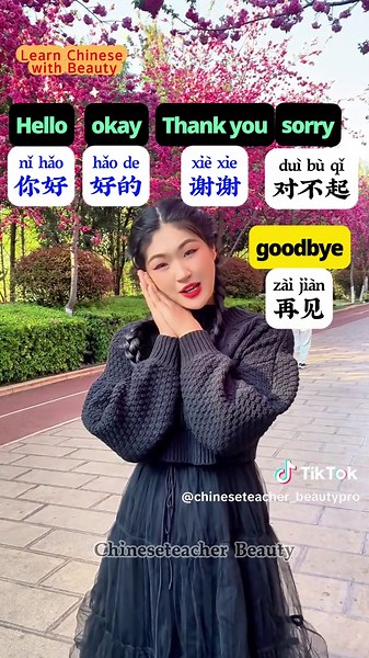 Learn Basic Mandarin Chinese for Everyday Conversations