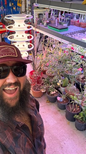 1.6K views · 23 reactions | Texas Garden Guy on Reels | Facebook