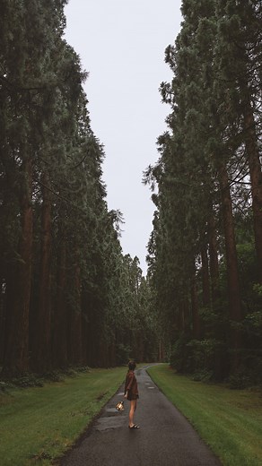 Carolyn | A little compilation of my favourite spring/summer moments before I officially declare autumn on this feed 🥰 | Instagram