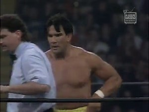 71. 94-04-17 Ric Flair vs. Ricky Steamboat (Spring Stampede)