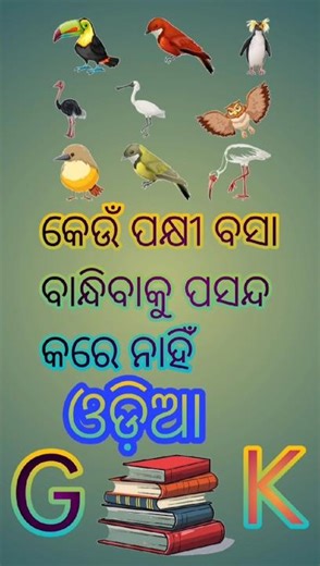 Which Bird Can't Fly//#odia gk#gk #daily gk #india gk #odia competitive exam