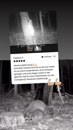 Was für ein Getümmel 🦝🦝🦝🌳 #jagd #jagen #waschbär Waschbär jagen