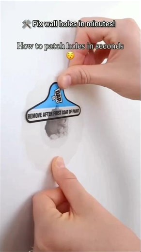 DAP Eclipse Rapid Wall Repair Patch#shorts #shortvideo #viral #linkinbio