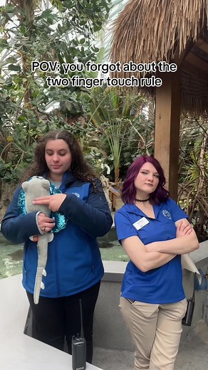 Stingray 101: Understanding These Cartilaginous Creatures