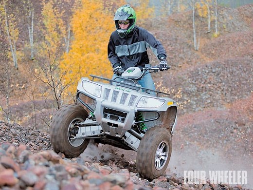 2009 Arctic Cat Thundercat 1000 H2 - Bed Toys