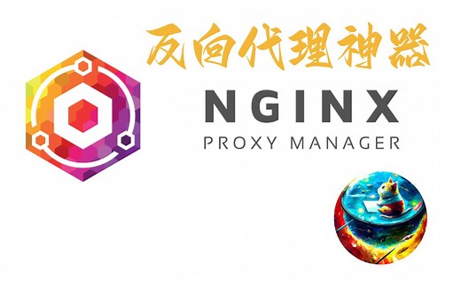 带界面的反向代理神器Nginx Proxy Manager，自带一键申请SSL证书