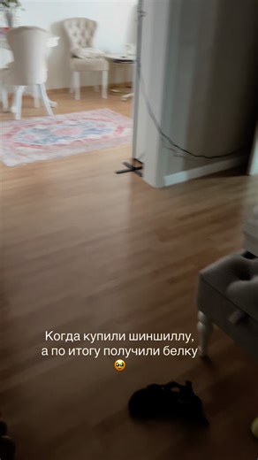 ᴘᴏʟɪɴᴀ ᴍ. | Наша девочка ❤️ | Instagram